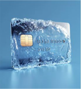 Rupay Platinum Debit Card image